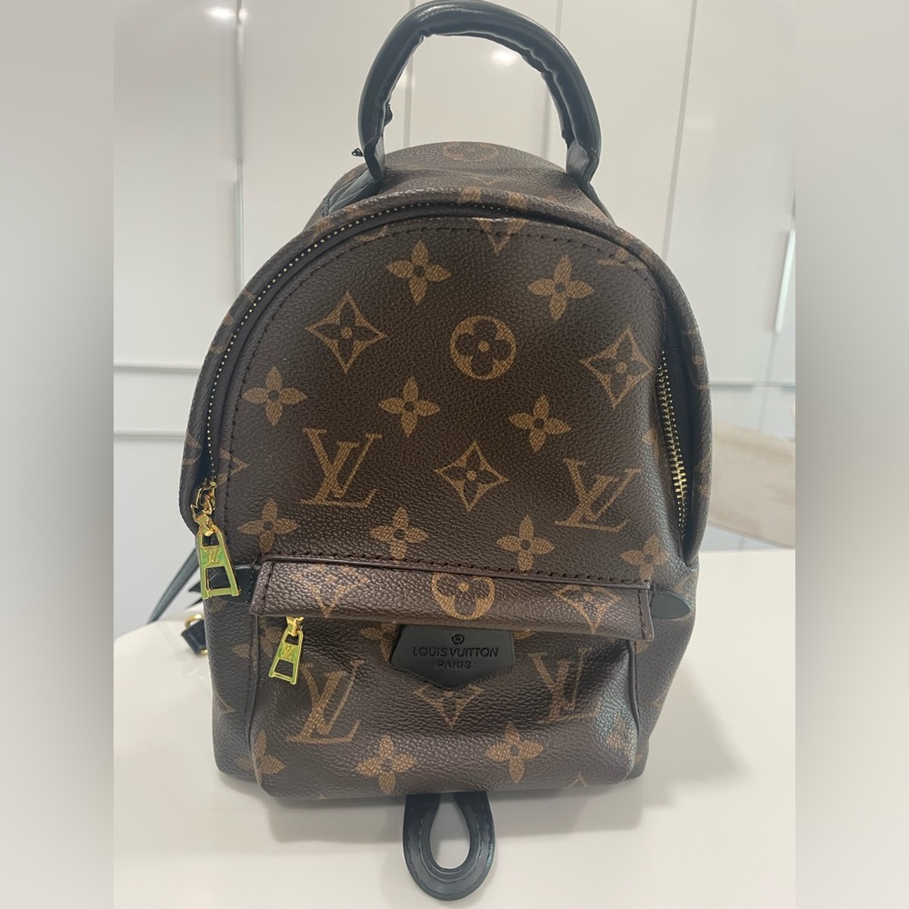 Louis Vuitton inspired mini backpack